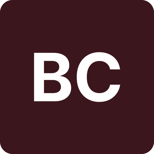 Bay Control Security logo